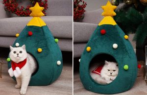 De Kerstboom-Kattenmand is álles wat jouw kat deze Kerst nodig heeft! Kerstboom-Kattenmand