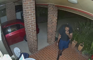 Zien: Inbrekers totaal verslonden door bloeddorstige waakhond! Waakhond