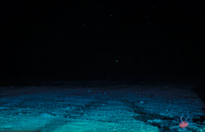 Hoe diep is het diepste punt in de oceaan en wat denk je daar aan te treffen? Oceaan