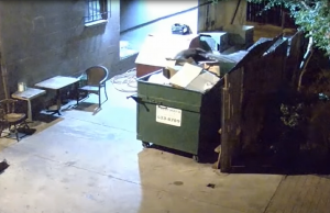 Zien: Politie arresteert naakte frikandellendief tijdens plunderen van containers! Frikandellendief