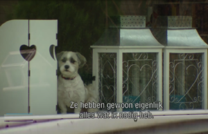 Dat wil je zien: Ria heeft haar complete inboedel bij de Action gekocht! Action