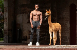 Alpaca én Hunk Kalender 2022 is een feit, hier haal jij er een! 2022