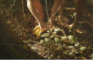 Gelekte beelden: “Hét bewijs dat Expeditie Robinson NEP is!” Expeditie Robinson