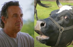 Zien: “Vermomde Marco Borsato op heterdaad betrapt met affaire ‘Naomi’ naast koe!” Marco Borsato