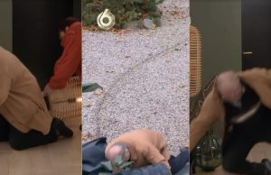 De grote val-compilatie van Bertus in Lang Leve de Liefde! Lang Leve de Liefde