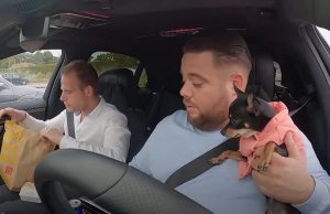 Massa is Kassa-kijkers woedend op Mark Gillis vanwege ‘mishandeling’ hondje Coco! Massa is Kassa