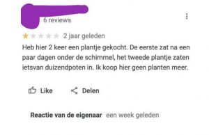 Eigenaar van plantenwinkel reageert woedend op slechte review! Review