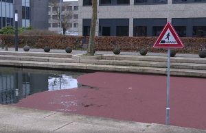 Utrechtse vijver lijkt op gravelpad en dat levert hilarische beelden op! Utrechtse vijver