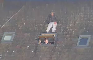 Beelden van wietkweker die zich verstopt voor agent gaan de wereld over! Wietkweker