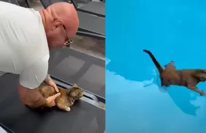 Woede om video van Alex Soze die kat ‘mishandelt’ op vakantie! Alex Soze