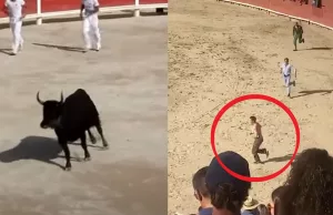 Nederlandse activist neergesabeld tijdens stierengevecht in Portugal! Stierengevecht