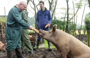 Peter Gillis kondigt Massa is Kassa-Seizoen 11 aan, maar Wendy is alweer pleiten! Peter Gillis