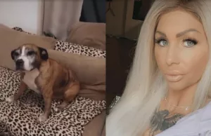 Afschuwelijke beelden van de hond van Samantha de Jong, Dierenbescherming ingeschakeld! Samantha de Jong