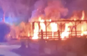 Beelden: Gigantische brand op park van Peter Gillis: ‘Park moet sluiten!’ Peter Gillis