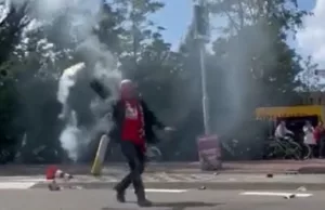 Zien: PSV-supporter die hand kwijtraakte aan cobra is een bekende Nederlander! PSV