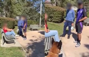 Droeftoeters vallen meisje lastig, getrainde hond neemt ze te grazen!