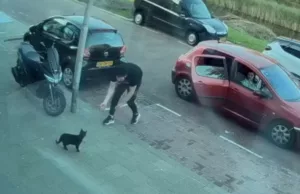 Groepje mislukkelingen ontvoeren Kat Mickey hardhandig op klaarlichte dag! Kat Mickey