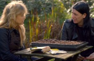 Ellen ten Damme dropt bommetje op Boerderij van Dorst: ‘Alles is nep en in scène gezet!’ Boerderij van Dorst