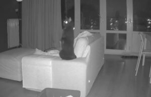 Kattencamera heeft de gigantische explosies in Den Haag vastgelegd! Den Haag