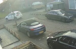 Politie op zoek naar automobilist die eendenfamilie plat rijdt in Wormerveer! Eendenfamilie