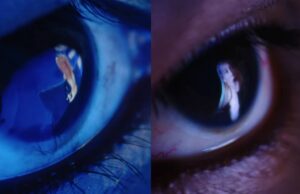 AVROTROS maakt Nederlandse inzending Eurovisie Songfestival bekend: ‘WE GAAN WINNEN!’ Eurovisie Songfestival