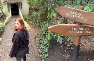 Efteling woedend vanwege natuurfilm die opgenomen is in het Sprookjesbos! Efteling