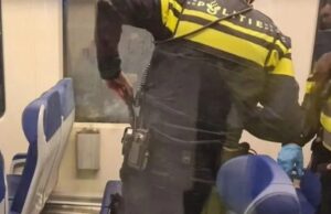 18-jarige jongen steekt Cobra af in volle trein, verliest eigen hand! Cobra