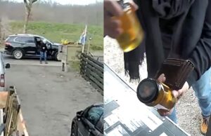 Op heterdaad betrapt: Tokkie in dikke BMW betaalt 10 cent voor 3 potten honing in verkoopstalletje! Honing