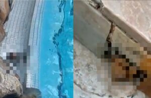 Na deze beelden ga je nooit meer zwemmen in zwemparadijs Aqua Mundo in Het Heijderbos!