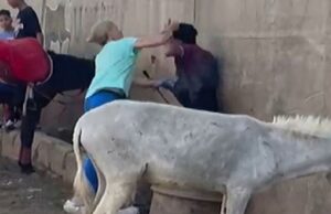 Nederlandse Joke die ezelmepper in Egypte een lesje leerde zit daardoor zwaar in de problemen