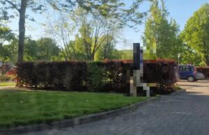 Ophef in Ter Apel omdat asielzoeker die zijn ‘Willy’ aan kinderen liet zien aan schandpaal is genageld!