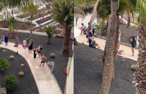 Nederlandse toeristen staan uren in de rij voor ligbedje in resort op Lanzarote! Ligbedje