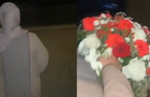 Enorme droeftoeters jatten bloemen van graf van iemand die nét begraven is in Apeldoorn