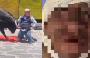 Het gezicht van de 23-jarige stierenvechter wiens gezicht eraf gerukt werd door een stier! Stierenvechter