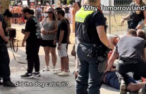 Politie loopt met honden op Tomorrowland en pakt iedereen op!