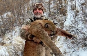 Amerikaanse Multimiljonair en Trofeejager Asher Watkins gespietst door buffel tijdens jacht