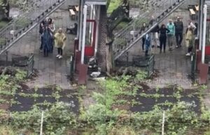 Hagenees maakt einde aan knettergek satanistisch dr*gsfeestje aan de overkant: ‘DOE EFFE NORMAAL MAN!’