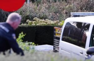 Onbegrip voor doodschieten van 15-jarige Jerryson na gewapende beroving