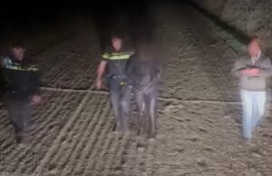 Boeren uitgerust met nachtkijkers grijpen eigenhandig 4 inbrekers in de kraag in de Noordoostpolder