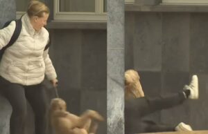 Beelden: Storm Benjamin blaast hond met baasje weg tijdens wandeling in Oostende