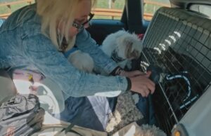 Monique Hansler in de problemen vanwege beelden van ‘dierenmishandeling’