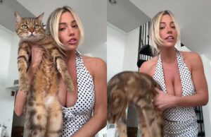 Influencer Jadelyn heeft heel verhaal over haar hond maar kijkers kijken naar iets heel anders!