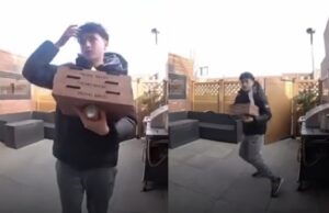 Grote woeste waakhond heeft het gemunt op pizzabezorger