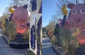 Bloemencorso onder vuur vanwege bloemenvarkentjes: ‘Varkens zijn haram’