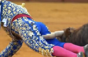 Opnieuw Spaanse matador in het ziekenhuis door hoorn in rectum