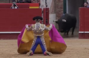 Opnieuw stierenvechter om het leven gekomen door hoorn van stier