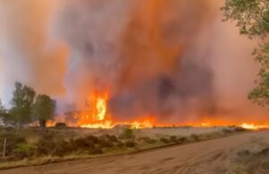 Nieuwe beelden van enorme natuurbrand op de Veluwe