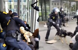 Beelden van Deense politie die hardhandig PRO-Palestina demonstranten aanpakken gaan rond