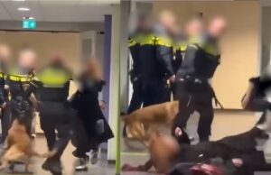Agent smijt zwangere vrouw tegen de vlakte, haar man gaat vervolgens helemaal los