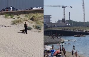 Reljongeren in Scheveningen vluchten als bange hazen voor agenten met honden